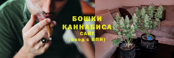 ПСИЛОЦИБИНОВЫЕ ГРИБЫ Балахна